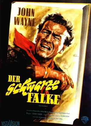 Der schwarze Falke