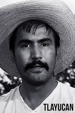 Das Wunder von Tlayucan