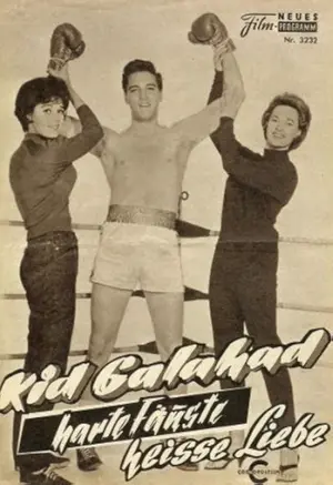 Harte Fäuste, heiße Liebe