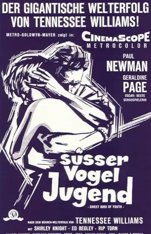 Süßer Vogel Jugend