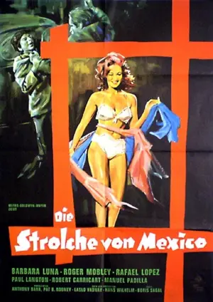 Die Strolche von Mexiko