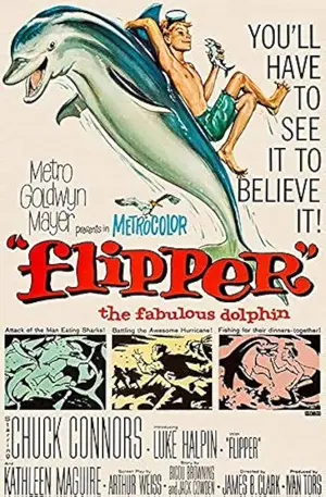 Flipper