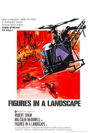 Im Visier des Falken