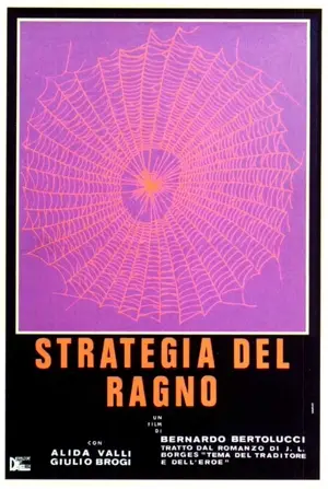 Die Strategie der Spinne