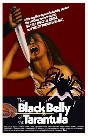 Der schwarze Leib der Tarantel