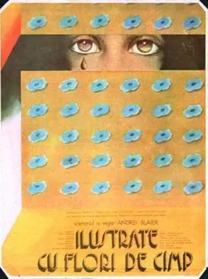 Ilustrate cu flori de câmp