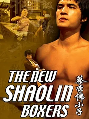 Der Todesblitz der Shaolin