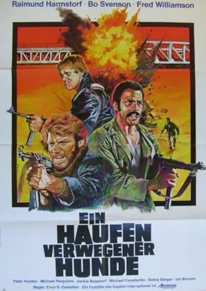 Ein Haufen verwegener Hunde