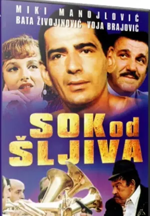 Sok od sljiva