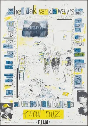 Het dak van de walvis