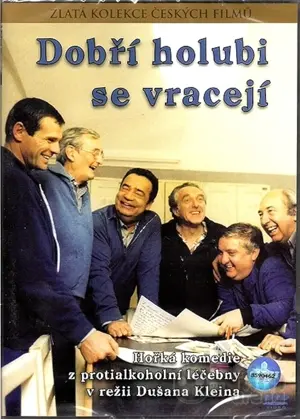 Gute Tauben kehren immer zurück