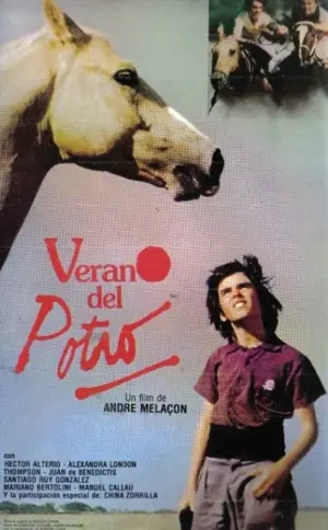 Geheimnisse eines Sommers