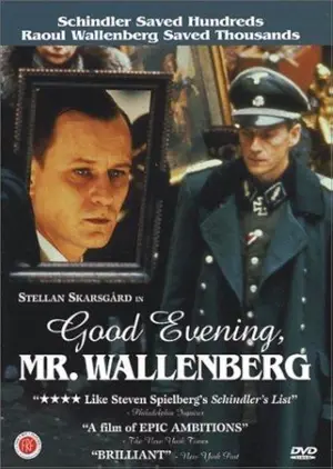 Guten Abend, Herr Wallenberg