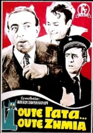 Oute gata, oute zimia