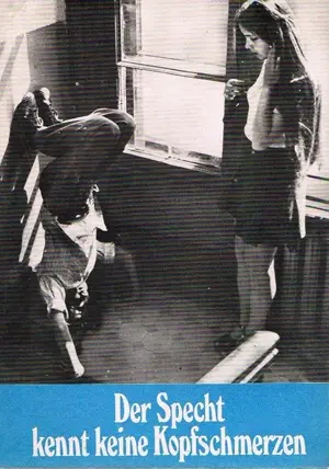 Der Specht zerbricht sich nicht den Kopf