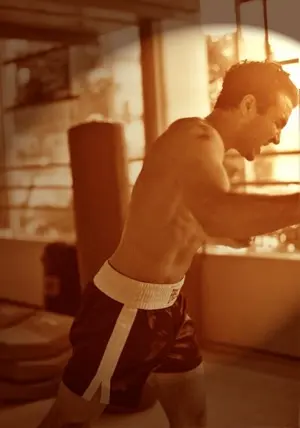 Tarantulas and Other Conveniences