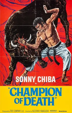 Kenka karate kyokushinken