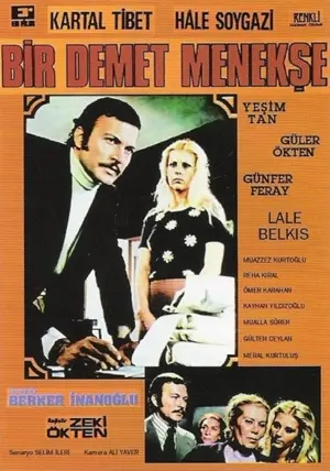 Bir Demet Menekse