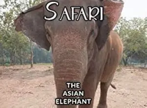 The Asian Elephant