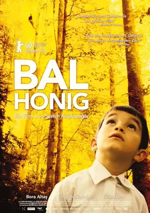 Bal - Honig