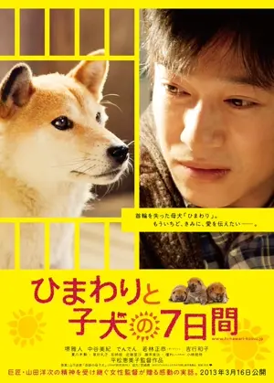 Himawari to koinu no 7-kakan