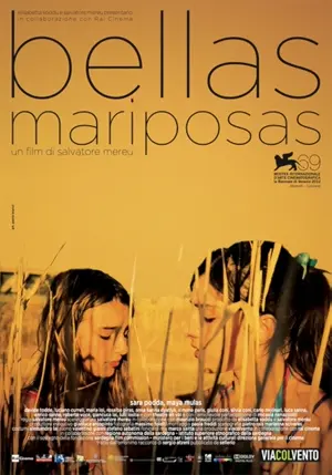 Schöne Schmetterlinge