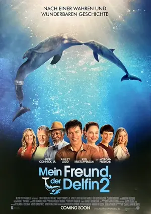 Mein Freund, der Delfin 2
