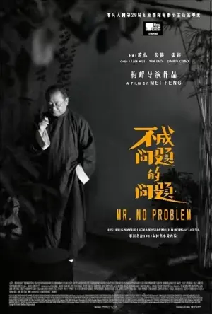 Bu cheng wen ti de wen ti