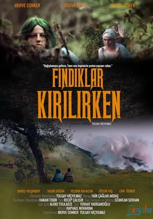 Findiklar Kirilirken