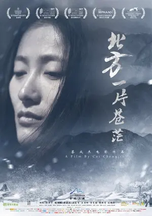 Mirrors and Feathers